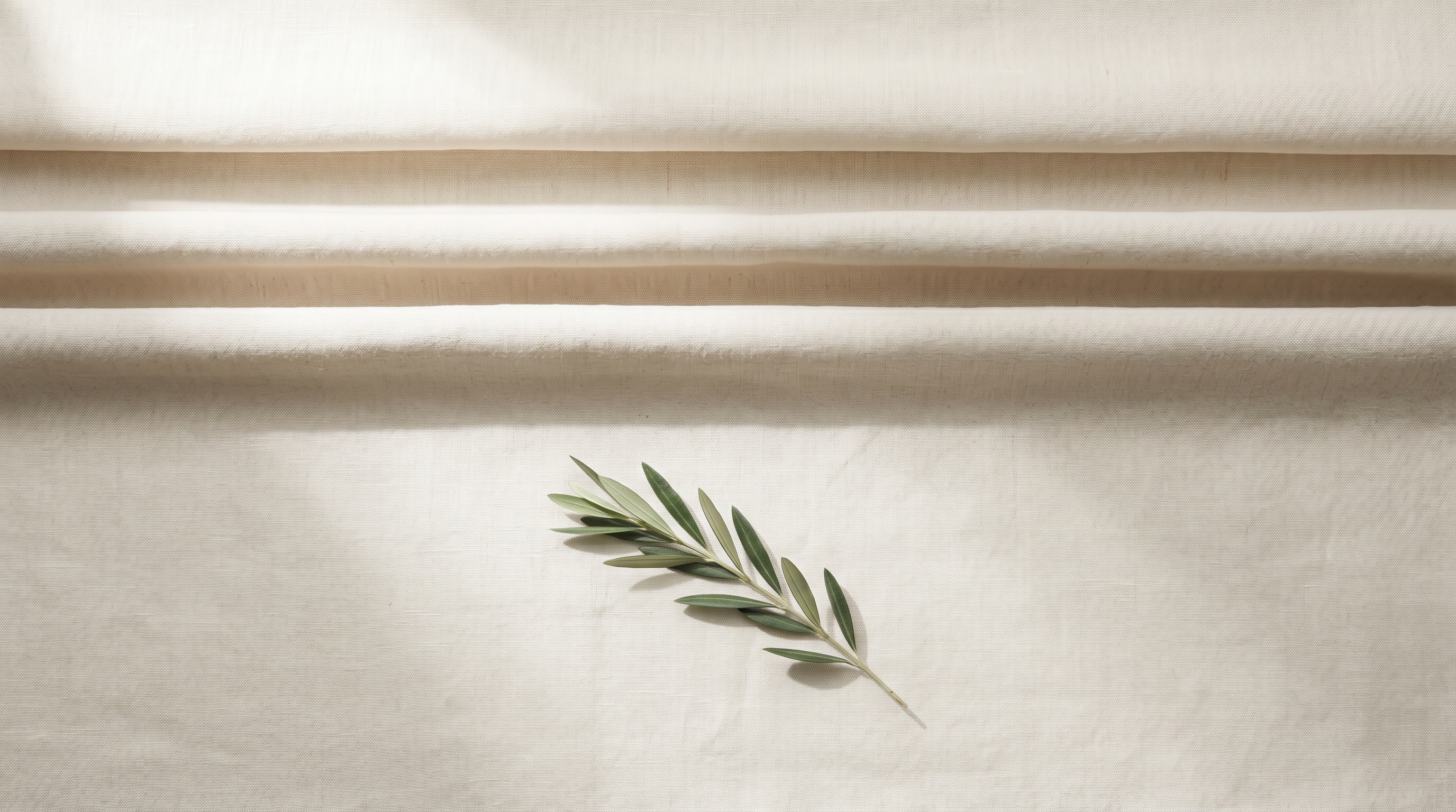 Bone-coloured linen surface with three soft horizontal creases of graduated depth and an olive sprig in raking light, abstract horizontal-line study