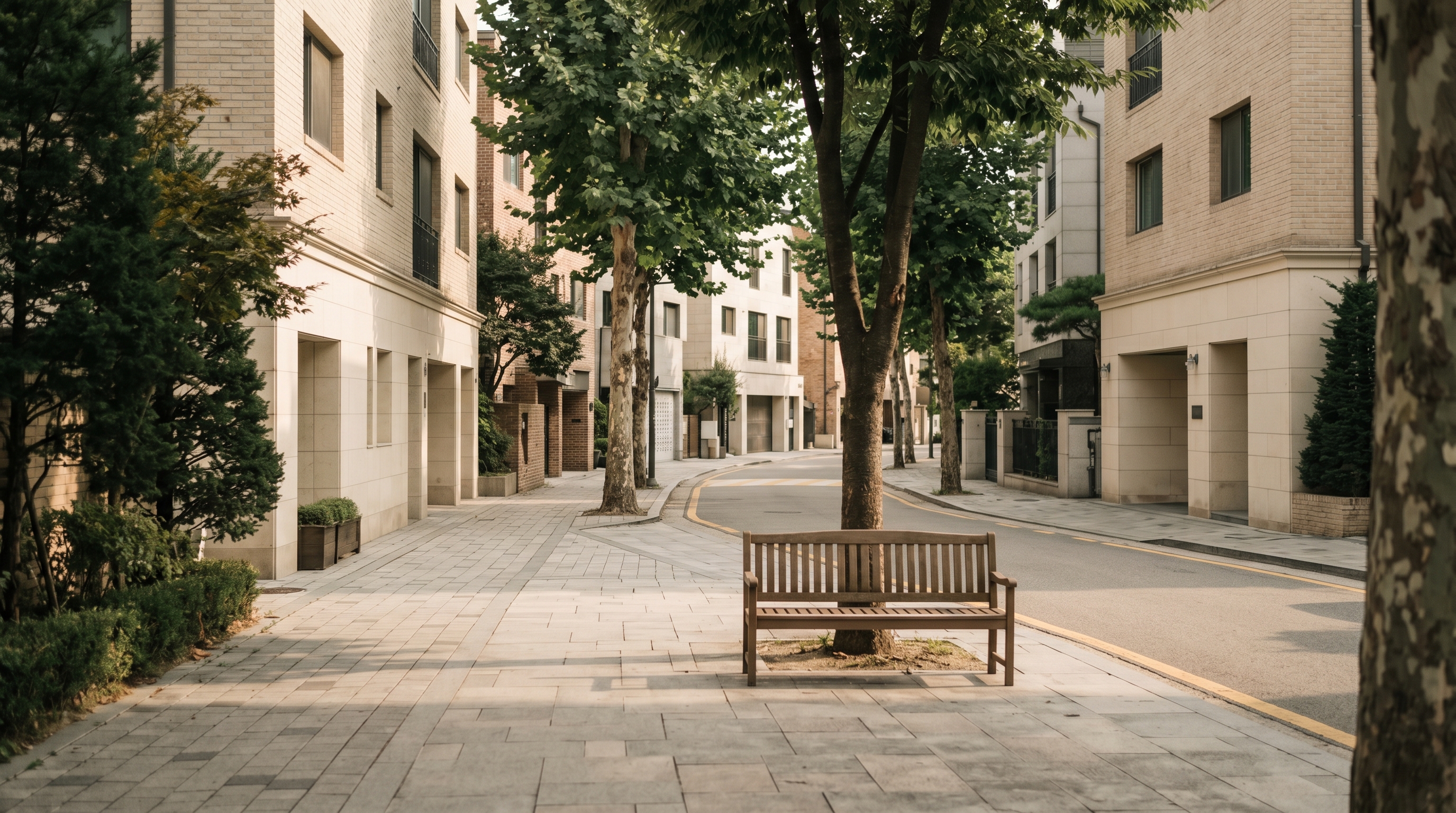 Quiet Seoul residential side-street with mature plane trees and an empty wooden bench, settled, longstanding-neighbourhood mood for the Seocho district