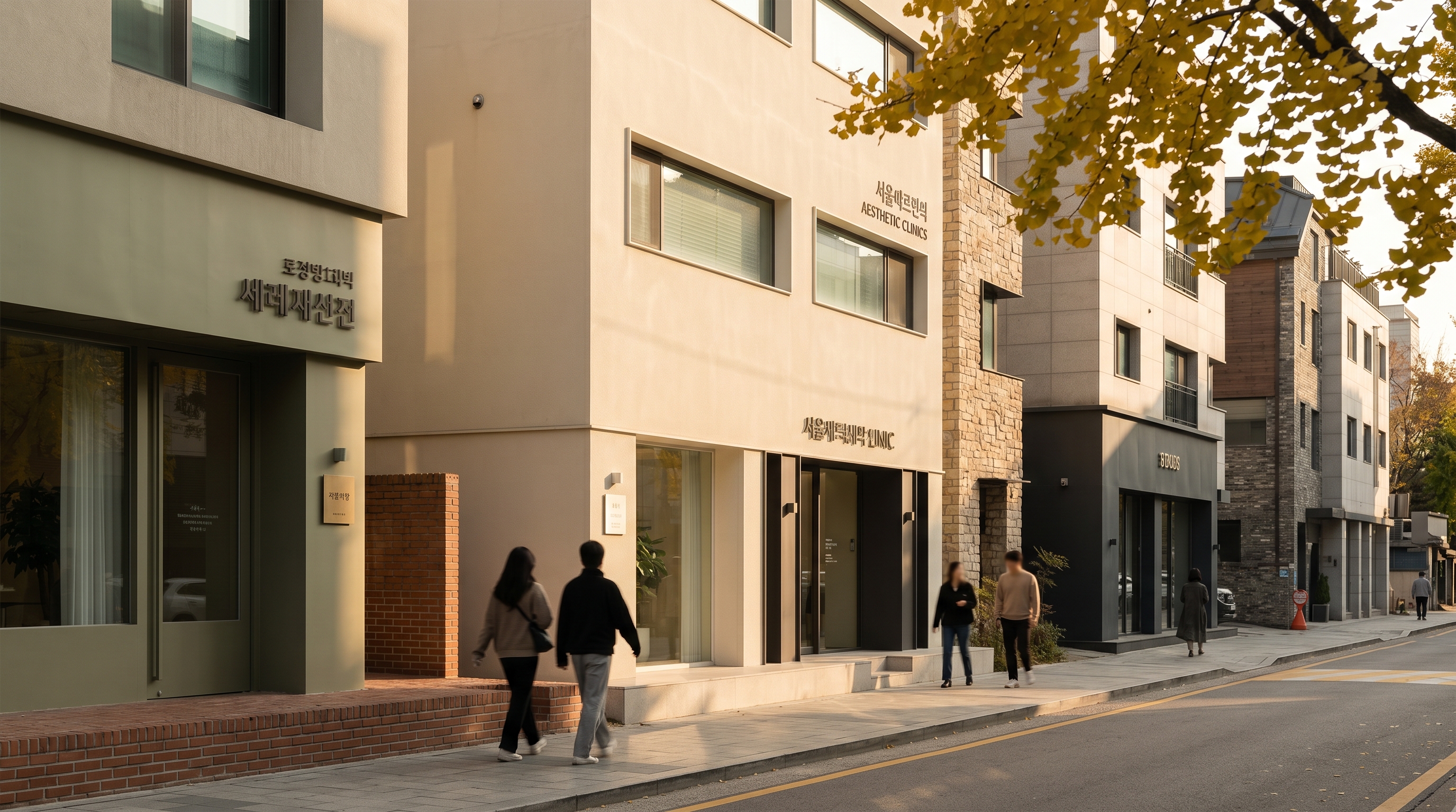 Seoul streetscape, the Korean aesthetic clinic market